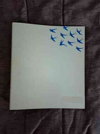 Mappi pääskyset Jyvaeskylae