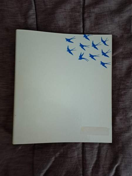 Mappi pääskyset Jyväskylä - valokuva 1