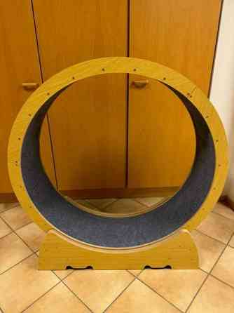 Kissan juoksupyörä Kerava