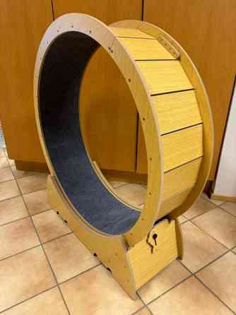 Kissan juoksupyörä Kerava