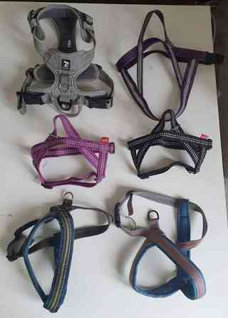 Valjaita, taluttimia yms. koirakamaa Karkkila