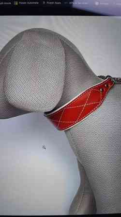 Jokke vinttikoiramallin panta Tampere