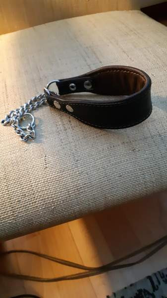 Jokke vinttikoiramallin panta Tampere – foto 1