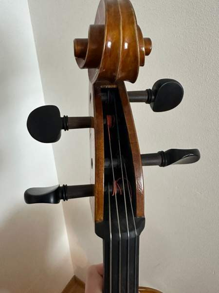 Kokosello ja kotelo Helsinki - valokuva 4