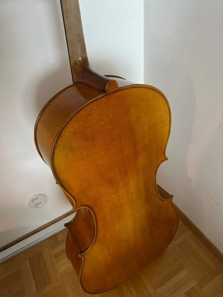 Kokosello ja kotelo Helsinki - valokuva 5