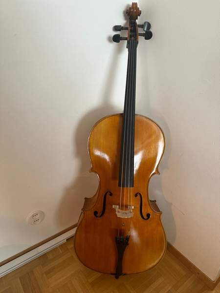 Kokosello ja kotelo Helsinki - valokuva 1