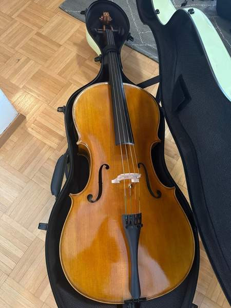 Kokosello ja kotelo Helsinki - valokuva 3