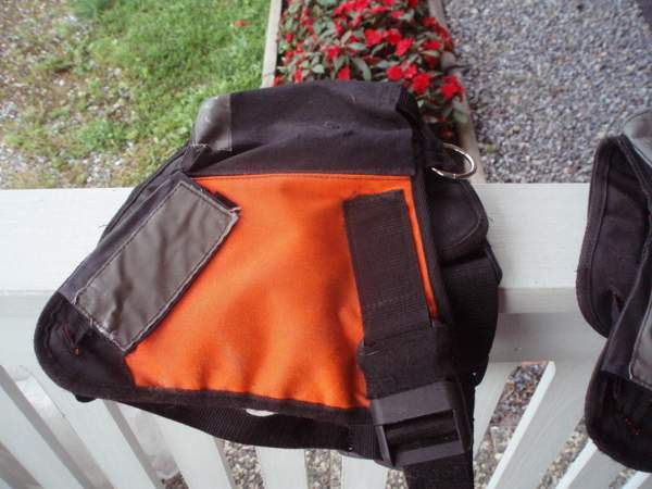 Pointer liivi Maalahti - valokuva 1