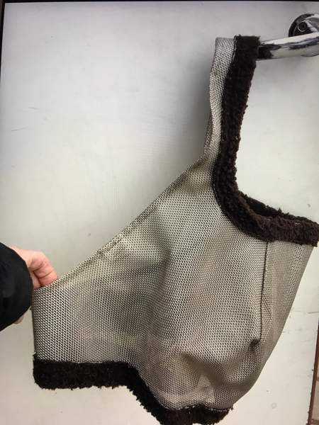 Ötökkähuppu Muurame - valokuva 1