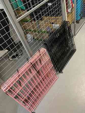 Pentuaitaukset Tampere