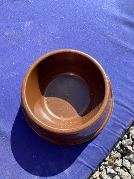 Englannissa tehty ruokakuppi Kissalle/Pienelle Koiralle Alavus - valokuva 2