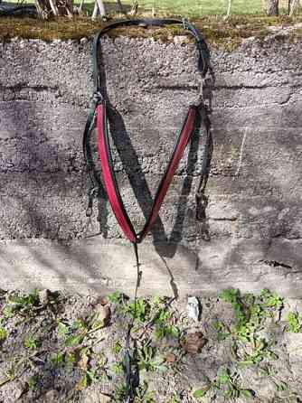 Beta rintaremmi full Lahti