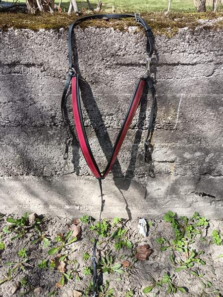 Beta rintaremmi full Лахти - изображение 2