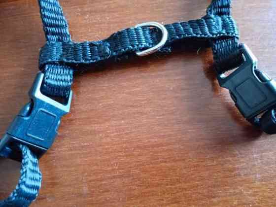 Kissan valjaat Äänekoski