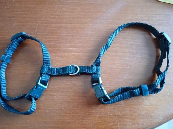 Kissan valjaat Äänekoski - valokuva 2