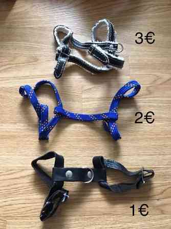 Kissan valjaita ja pantoja Tampere