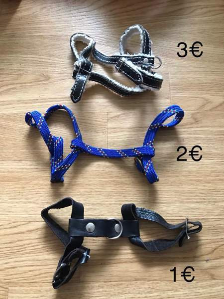 Kissan valjaita ja pantoja Tampere – foto 1