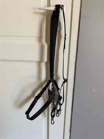 Uusi rintaremmi Haemeenlinna