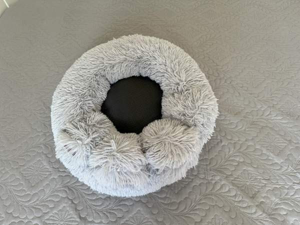 koira Nurmijaervi - photo 1