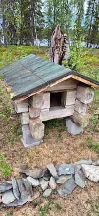 Hirsinen koirankoppi Kuusamo