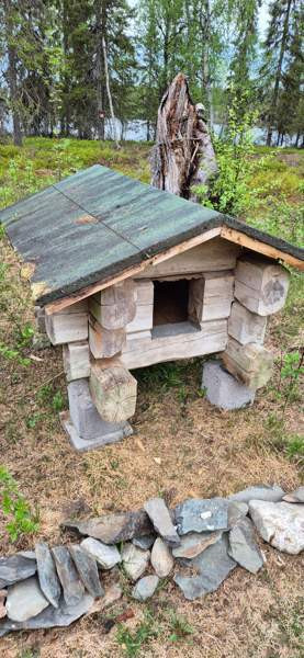 Hirsinen koirankoppi Kuusamo - valokuva 1