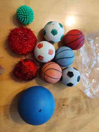 Kissojen leluja Эспоо