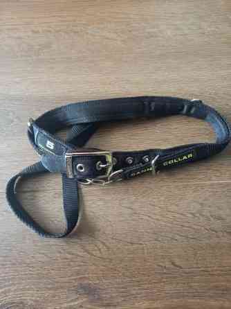 Canny collar koko 5 Luumäki