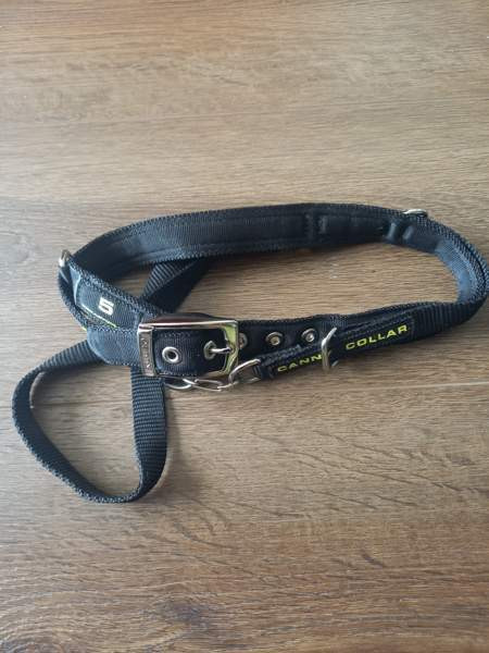 Canny collar koko 5 Luumäki - valokuva 1
