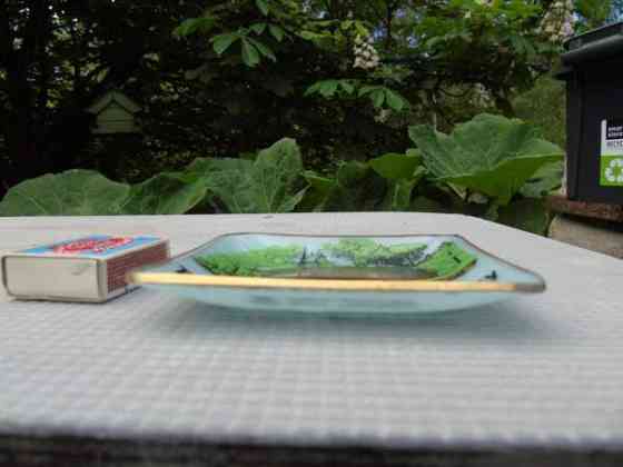 Harvinainen tuhkis Uusikaupunki