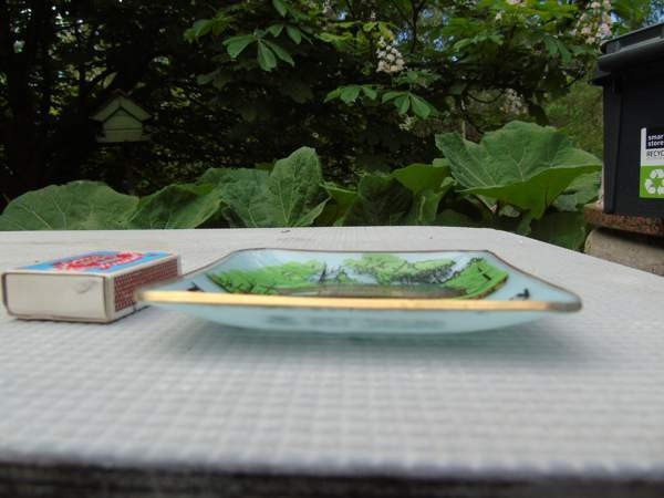 Harvinainen tuhkis Uusikaupunki – foto 3