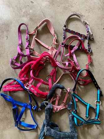 Paljon poni/cob kokosta tavaraa myynnissä Kirkkonummi