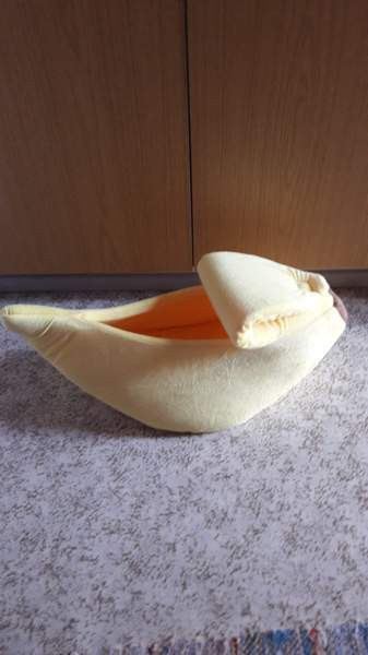 Kissan peti 20 e Lieksa – foto 1