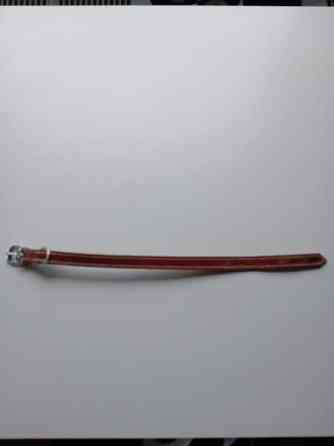 Koira panta Helsinki