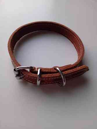 Koira panta Helsinki