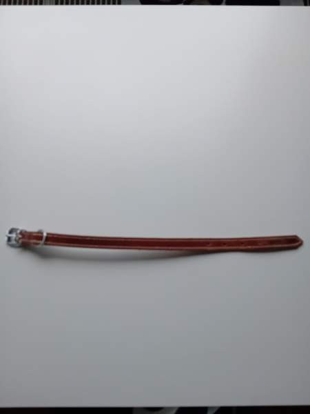 Koira panta Helsinki - valokuva 3