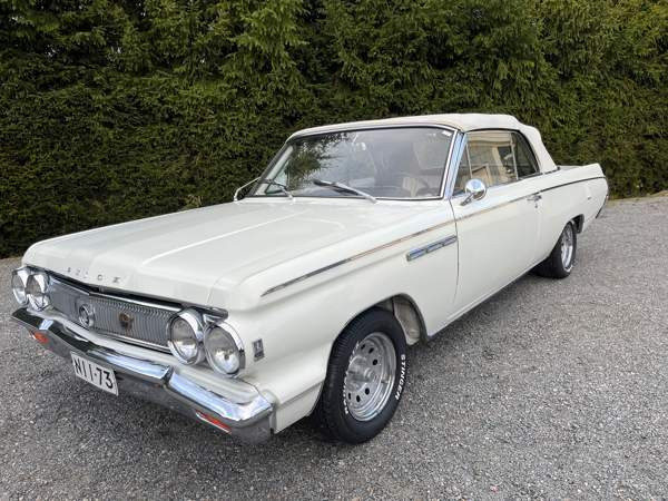 Buick Skylark Haemeenlinna – foto 1