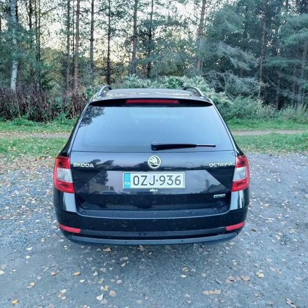 Skoda Octavia Yloejaervi - photo 6