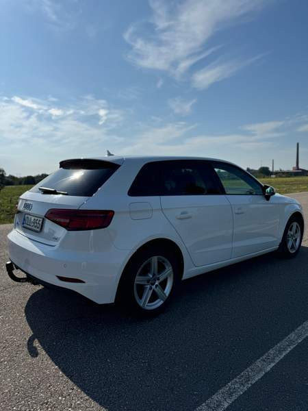 Audi A3 Chukotskiy Avtonomnyy Okrug - photo 4