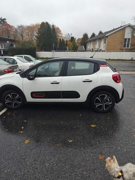 Citroen C3 Turtkul - valokuva 5