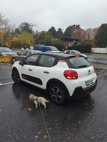 Citroen C3 Turtkul - valokuva 2