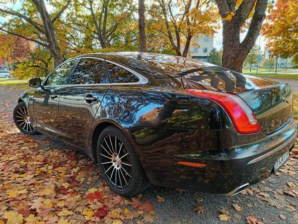 Jaguar XJ Turtkul - valokuva 4