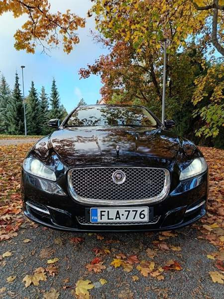 Jaguar XJ Turtkul - valokuva 6