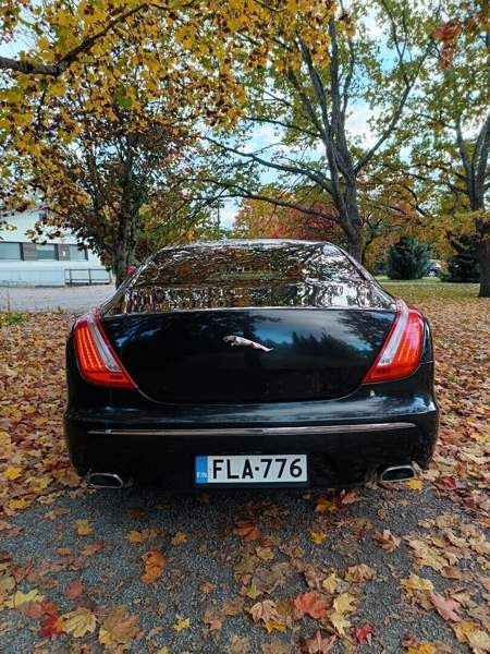 Jaguar XJ Turtkul - valokuva 8