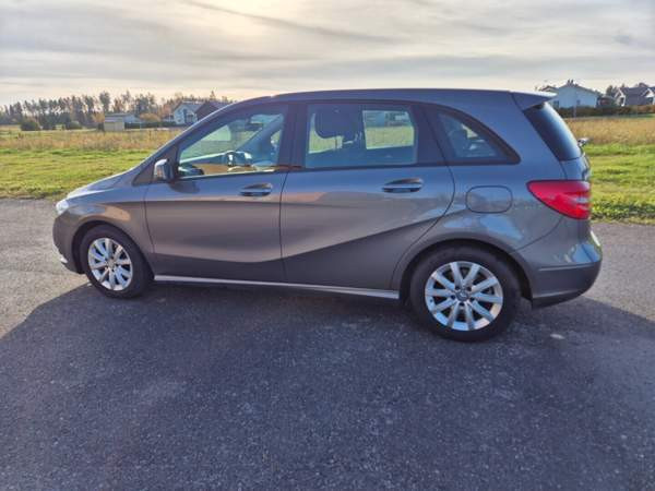 Mercedes-Benz B Glebychevo - photo 2