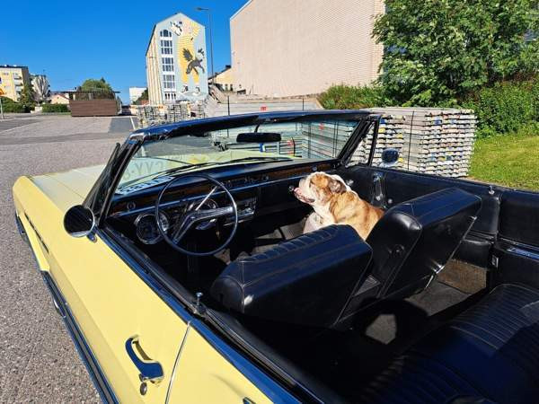 Buick Electra Kemin – foto 6