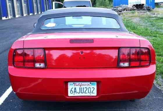 Ford Mustang Turtkul