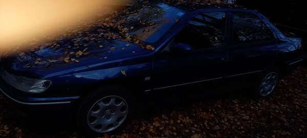 Peugeot 406 Луга - изображение 1