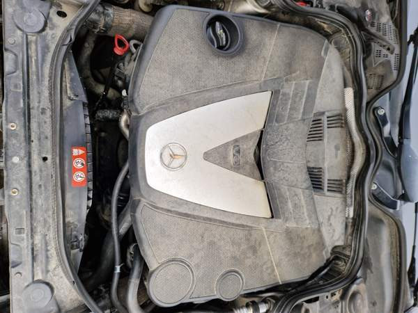 Mercedes-Benz E Luga - valokuva 7