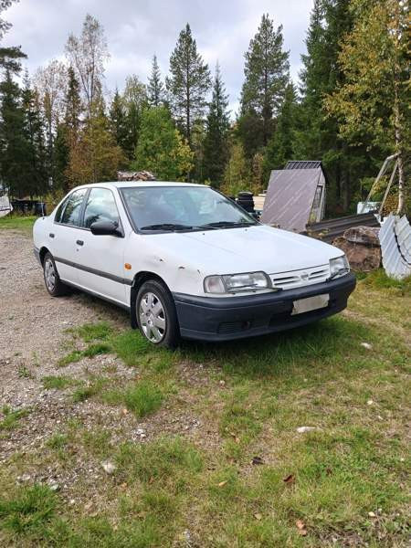 Nissan Primera Kittilä - photo 1