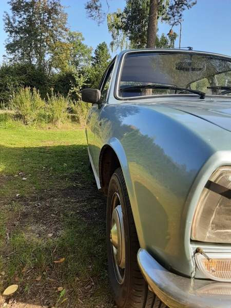 Peugeot 504 Glebychevo – foto 8